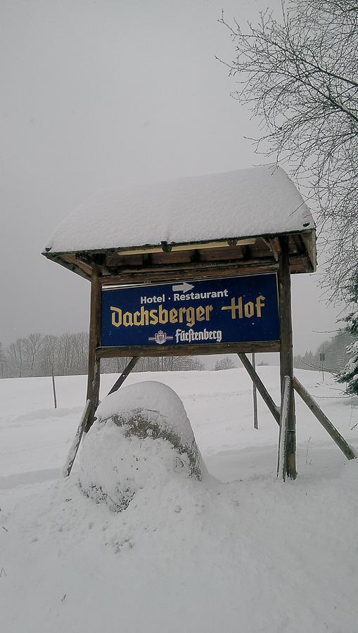 Hotel Dachsberger-Hof Wittenschwand Ngoại thất bức ảnh